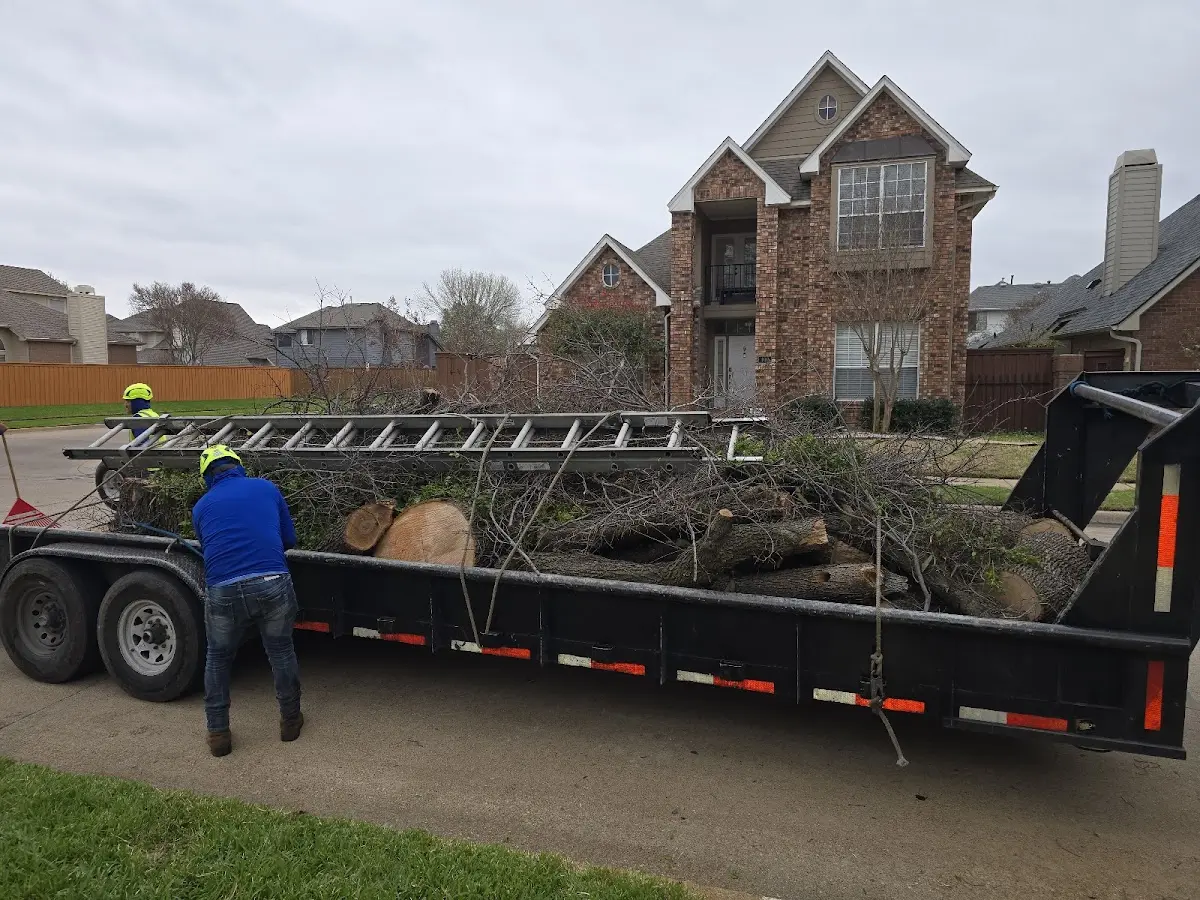 Expert Tree Fertilization with proper safety equipment in Ogdensburg